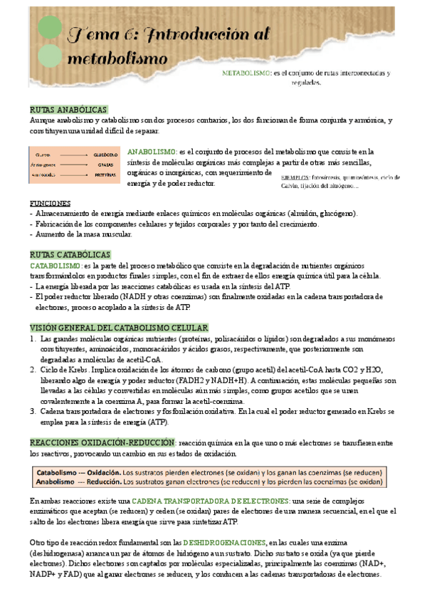 Miniatura del documento Tema-6.pdf