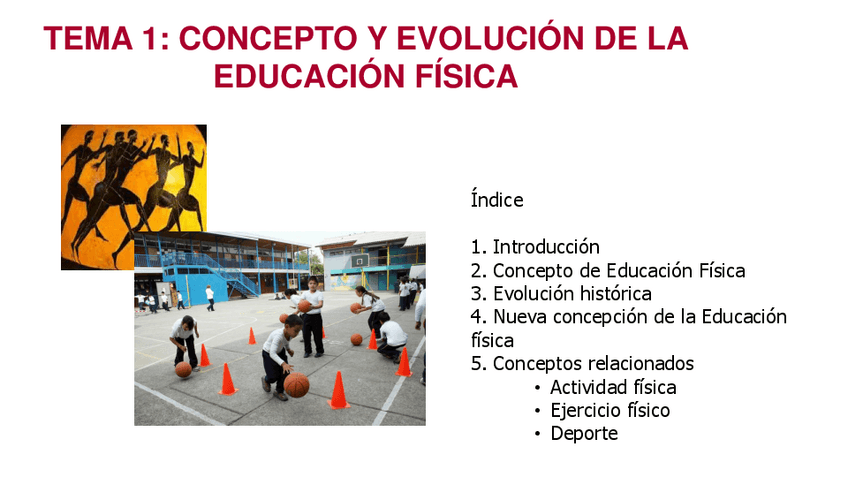 Miniatura del documento Tema-1-Didactica-de-la-EF-Concepto-y-Evolucion-de-la-EF11.pdf
