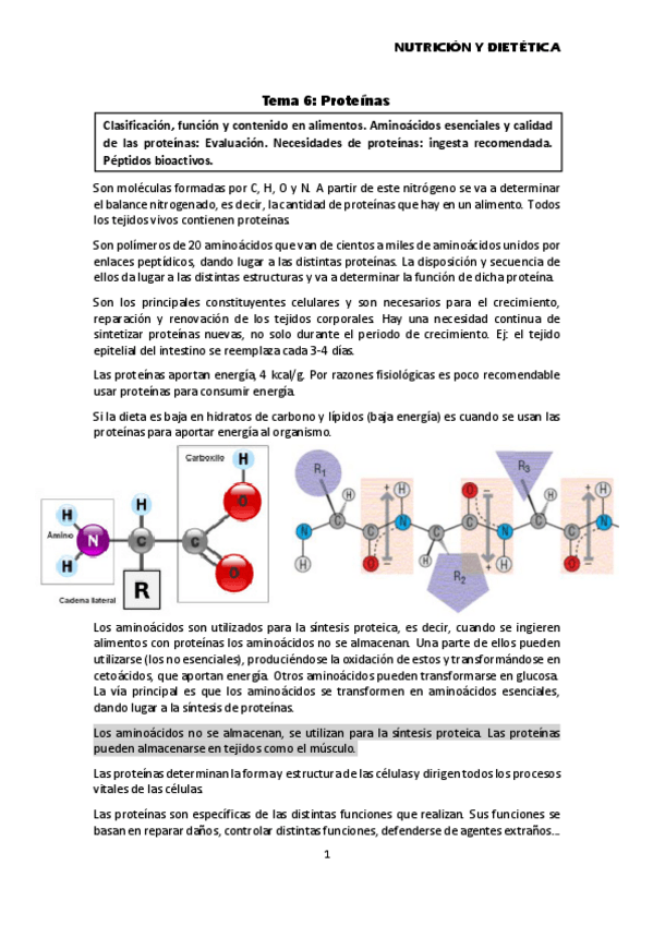 Miniatura del documento Tema-6-Proteinas.pdf