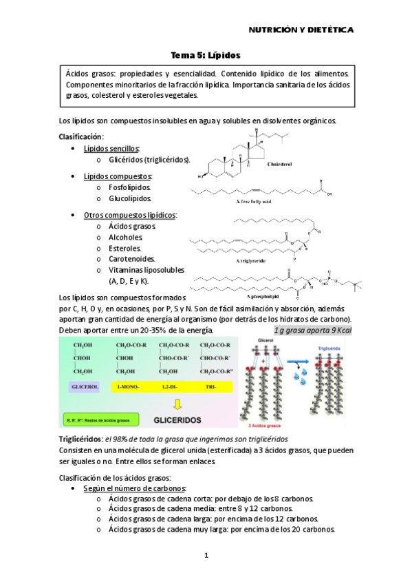 Miniatura del documento Tema-5-Lipidos.pdf