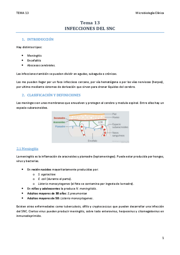 Miniatura del documento TEMA 13.pdf
