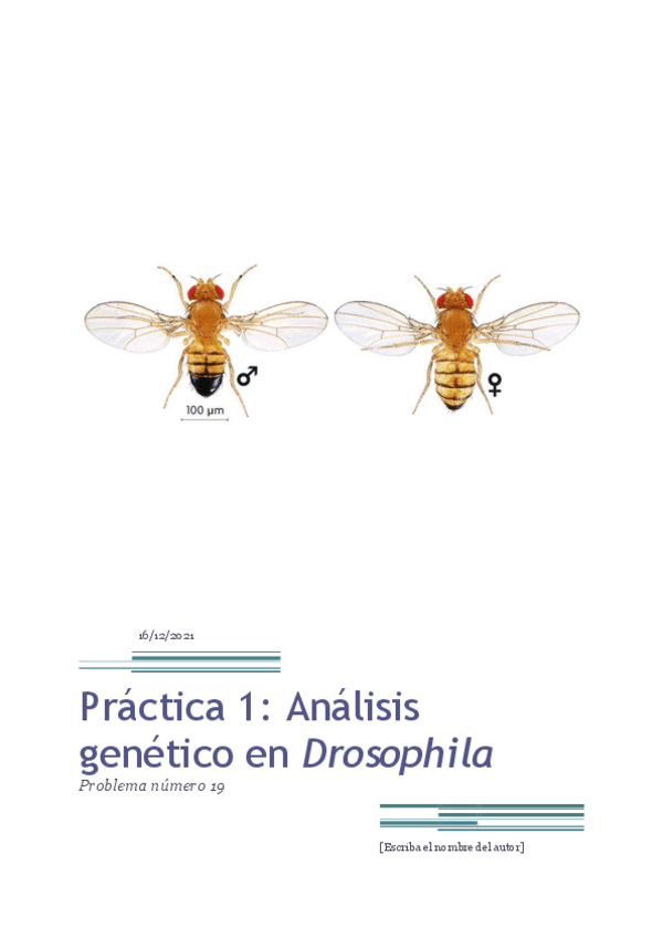 Miniatura del documento Informe-practica-Drosophila-1.pdf