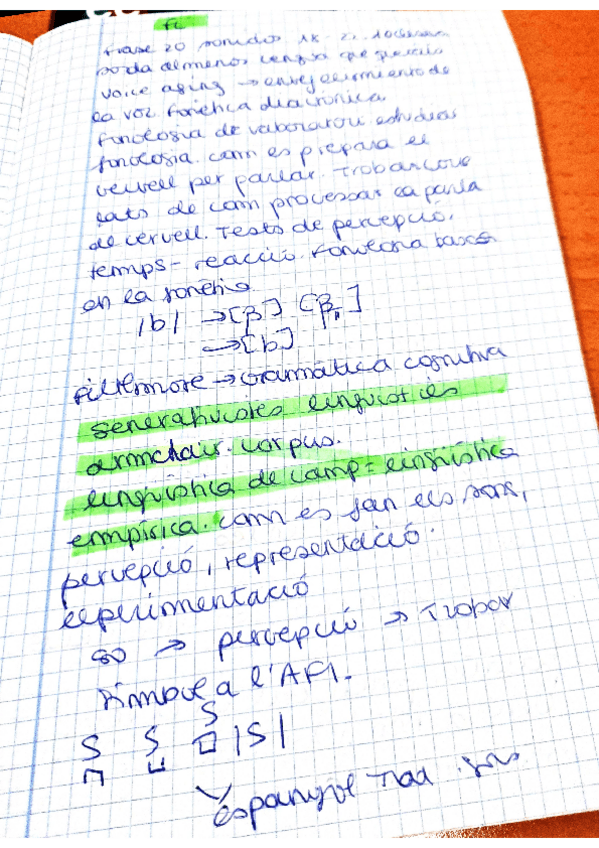 Miniatura del documento FL-2009-1.pdf