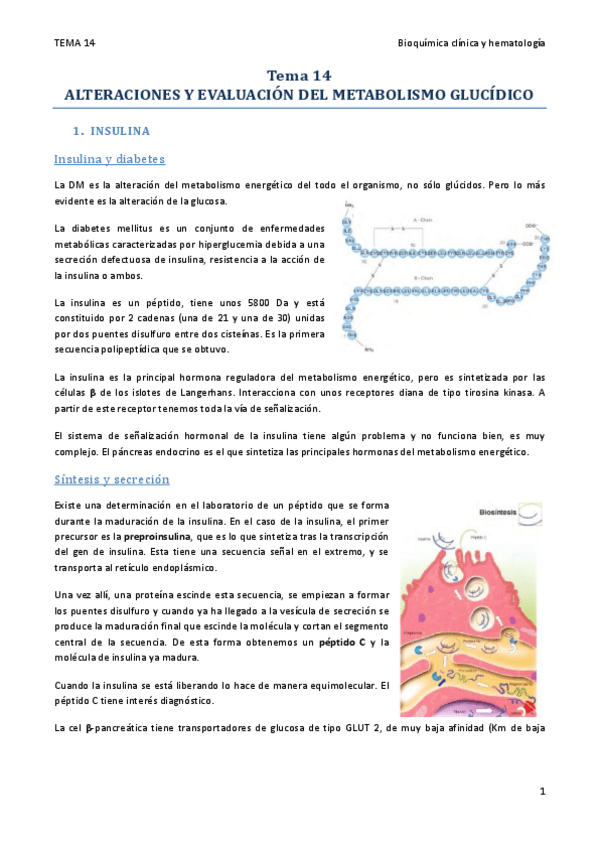 Miniatura del documento TEMA 14.pdf