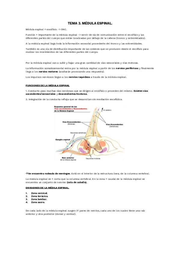 Miniatura del documento TEMA-3.pdf