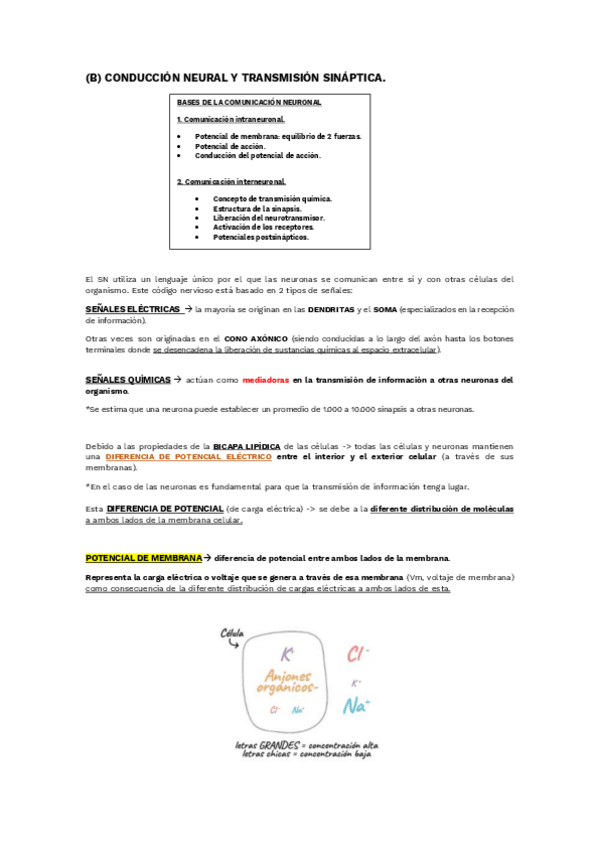 Miniatura del documento TEMA-1-B.pdf