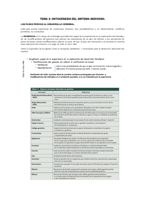 Miniatura del documento TEMA-2.pdf