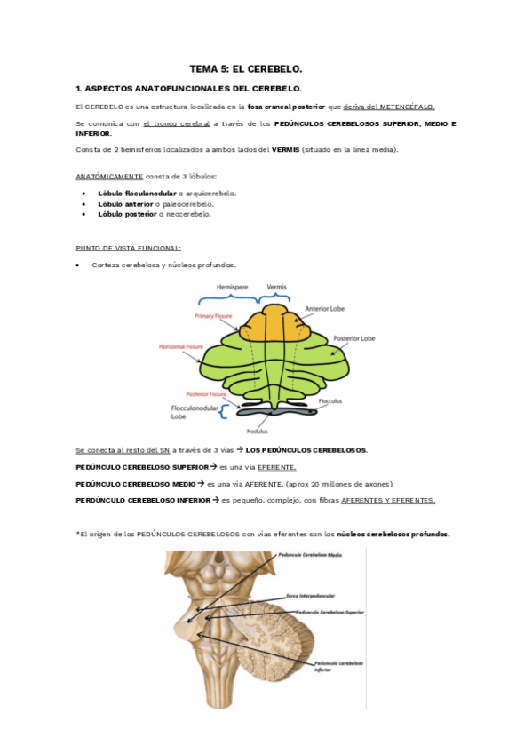 Miniatura del documento TEMA-5.pdf