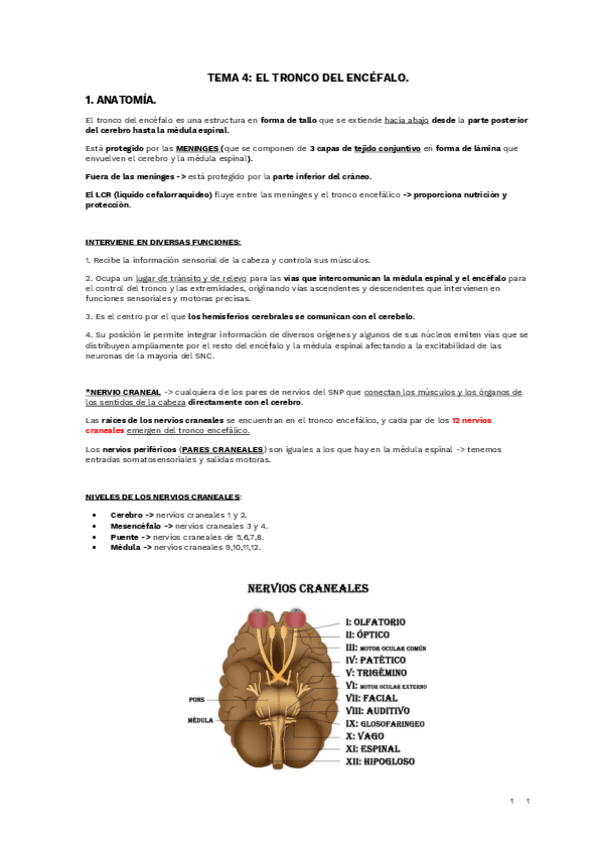 Miniatura del documento TEMA-4.pdf