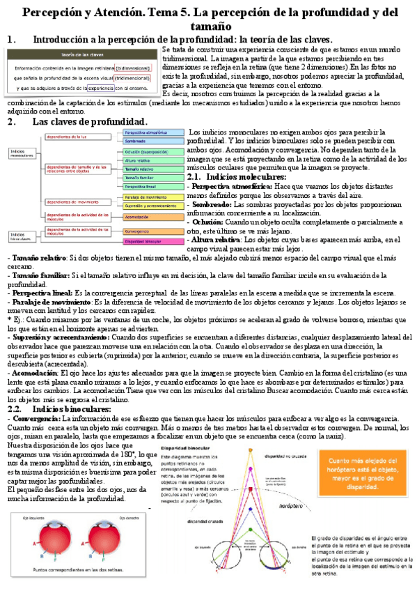 Miniatura del documento Percepcion-y-Atencion.pdf