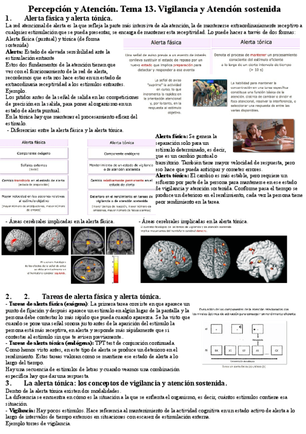 Miniatura del documento Percepcion-y-Atencion.pdf