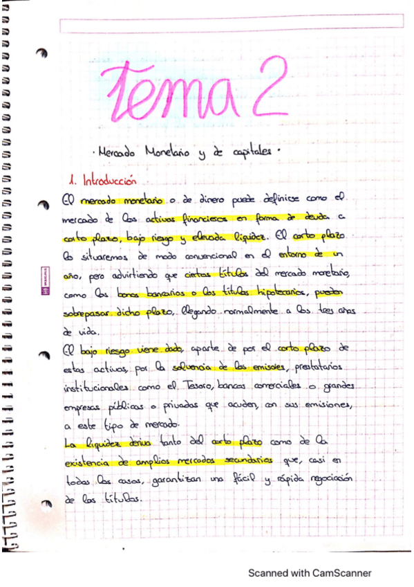 Miniatura del documento Teoria-Tema-2-COMPLETO.pdf