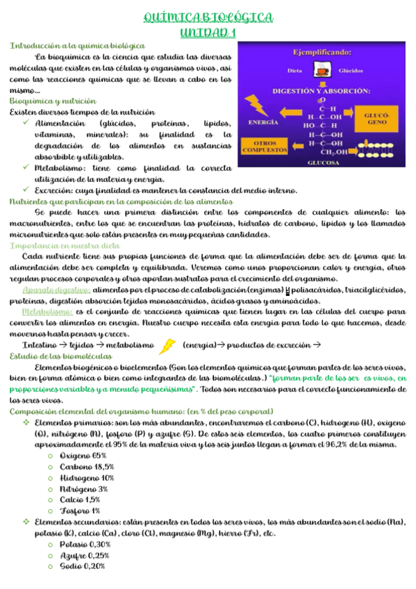 Miniatura del documento Resumen-Quimica-Biologica.pdf