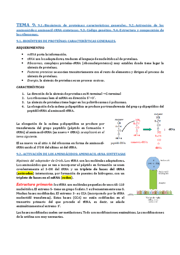 Miniatura del documento TEMA 9- TRADUCCIÓN 1.pdf
