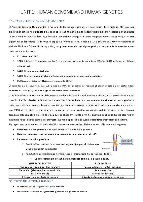 Miniatura del documento UNIDAD-1-CARMEN-.pdf