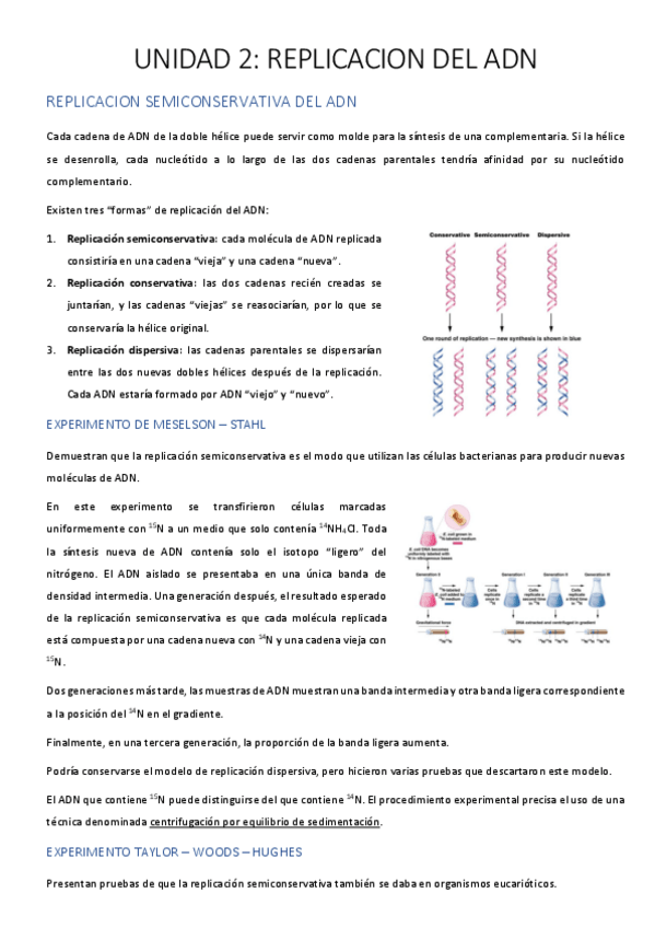 Miniatura del documento UNIDAD-2-CORREGIDA.pdf