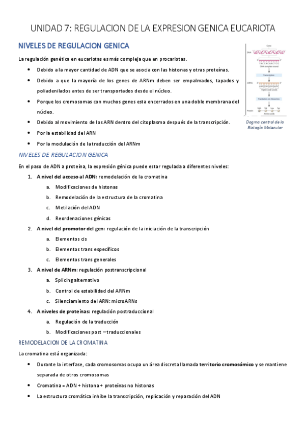 Miniatura del documento UNIDAD-7-PDF.pdf