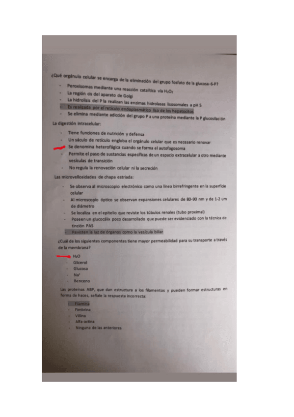 Miniatura del documento Doc1.pdf