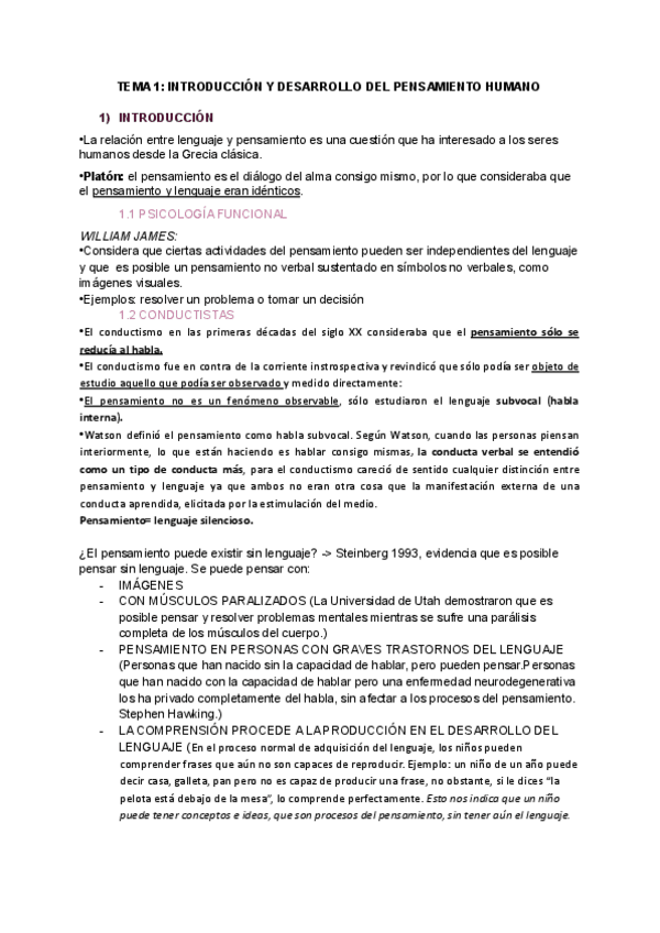 Miniatura del documento PENSAMIENTO-Y-LENGUAJE-TEMA-1.pdf