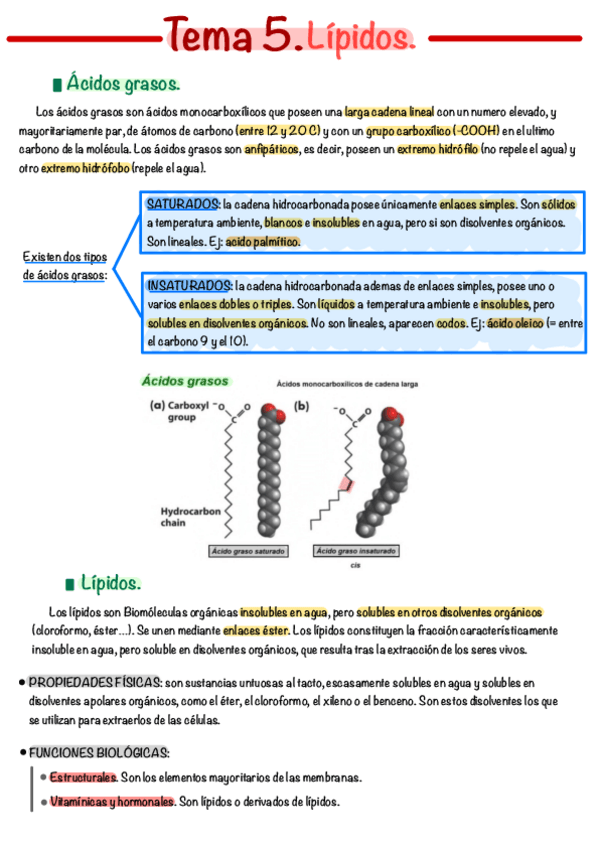 Miniatura del documento Tema-5.pdf