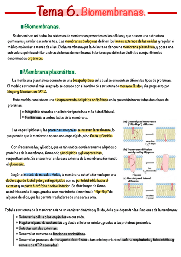 Miniatura del documento Tema-6.pdf