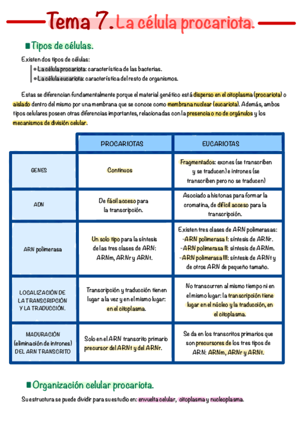 Miniatura del documento Tema-7.pdf