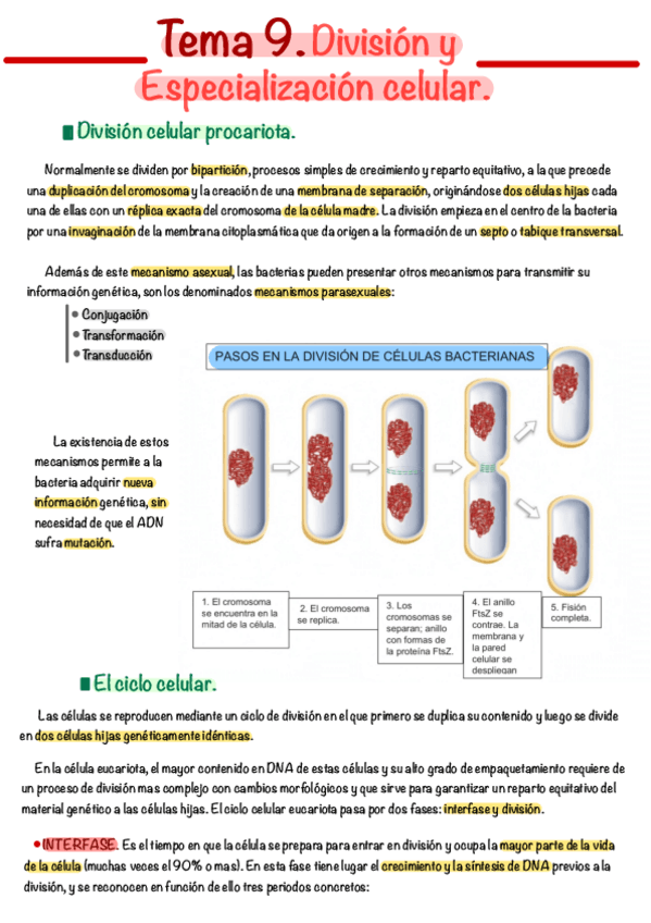 Miniatura del documento Tema-9.pdf