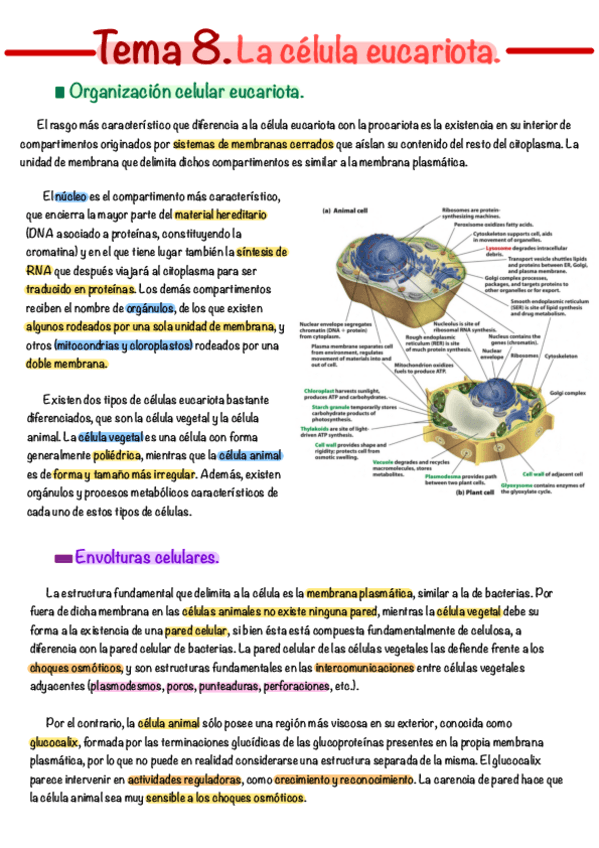 Miniatura del documento Tema-8.pdf