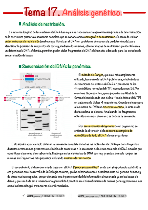 Miniatura del documento Tema-17.pdf