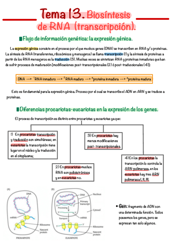 Miniatura del documento Tema-13.pdf