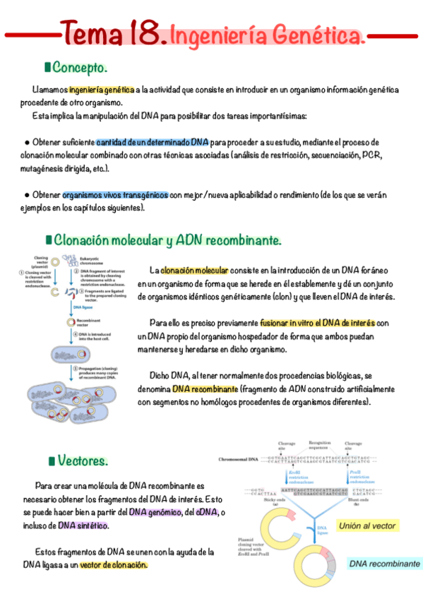 Miniatura del documento Tema-18.pdf