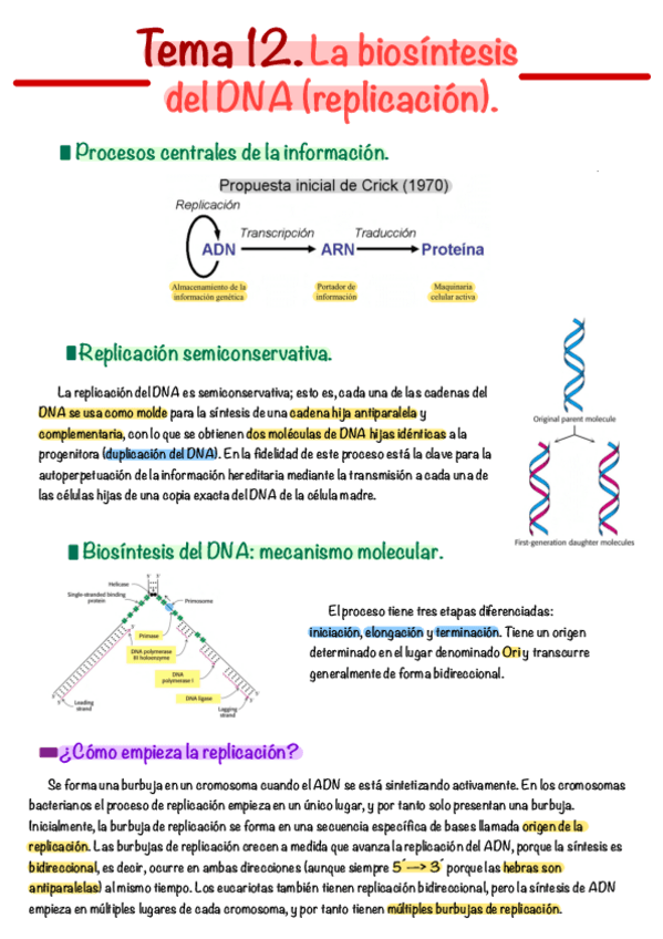 Miniatura del documento Tema-12.pdf