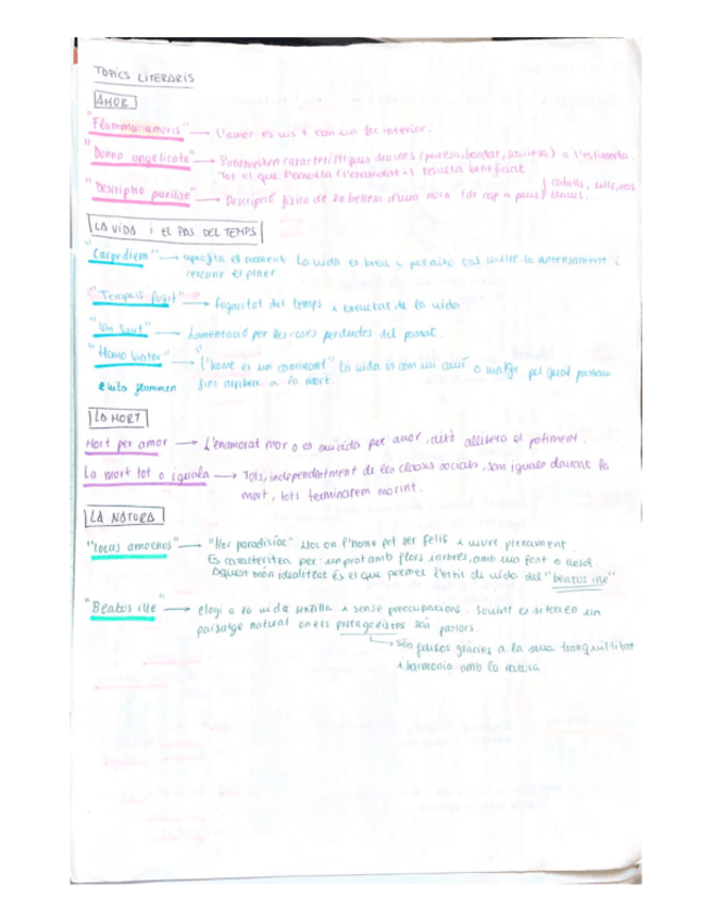 Miniatura del documento Topics-literaris-i-figures-retoriques-Catala.pdf