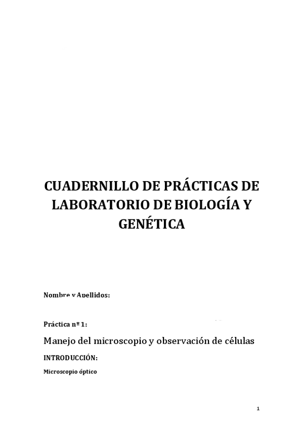 Miniatura del documento PRAICTICA-1.pdf