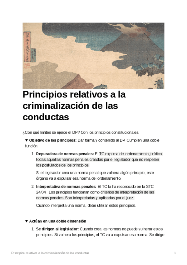 Miniatura del documento Principiosrelativosalacriminalizacindelasconductas.pdf