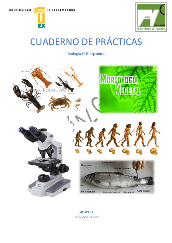 Miniatura del documento Cuaderno-de-Practicas-Biologia.pdf