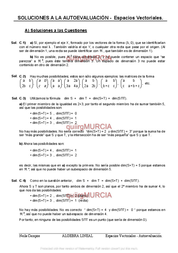 Miniatura del documento espaciosvectorialessoluciones.pdf