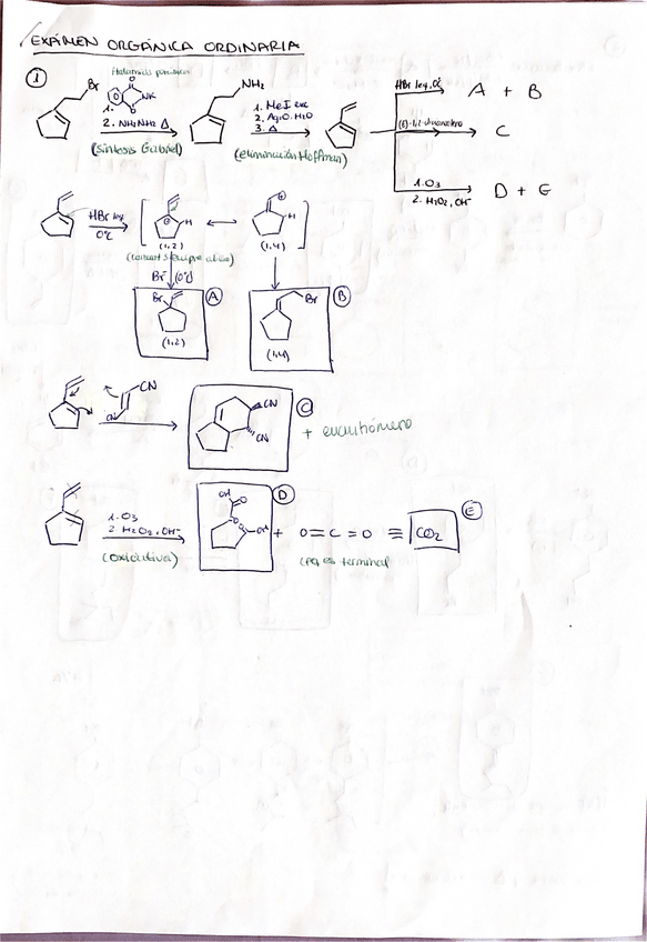 Miniatura del documento Examen-organica-ordinaria.pdf