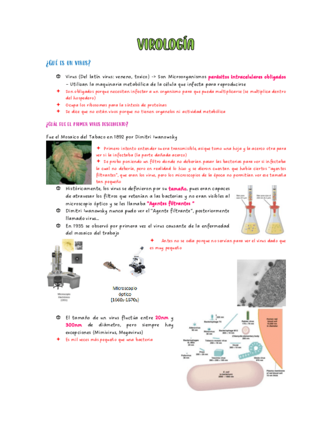 Miniatura del documento Virologia.pdf