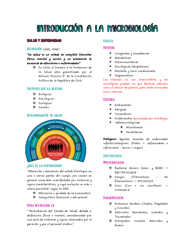 Miniatura del documento Microbiologia-y-Bacteriologia.pdf