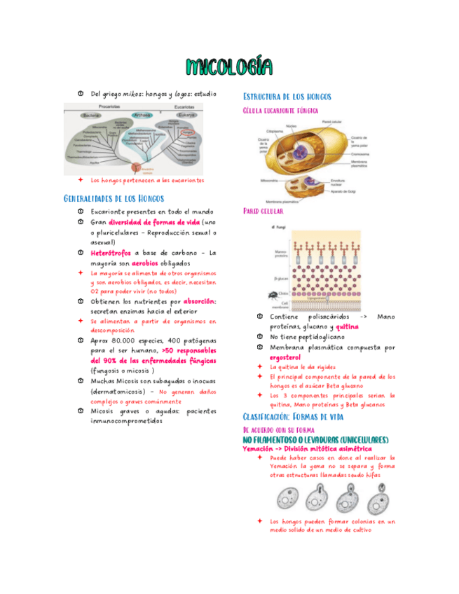 Miniatura del documento Micologia.pdf