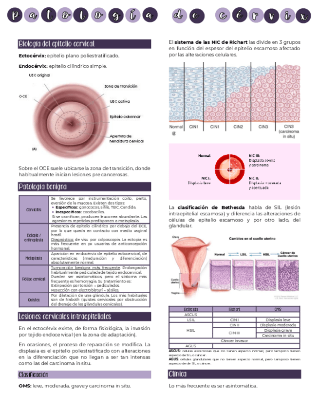 Miniatura del documento Patologia-de-cervix.pdf