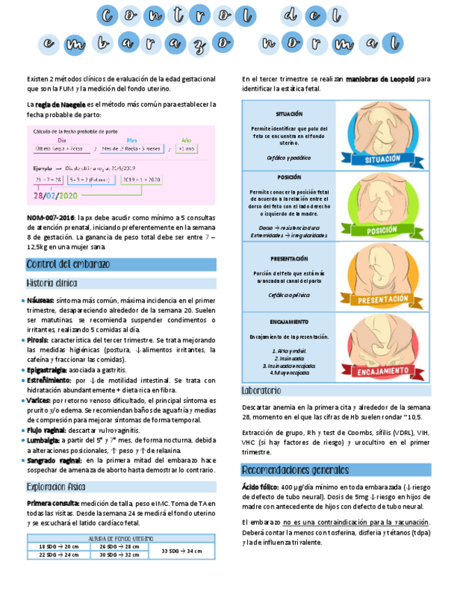 Miniatura del documento Control-del-embarazo-normal.pdf