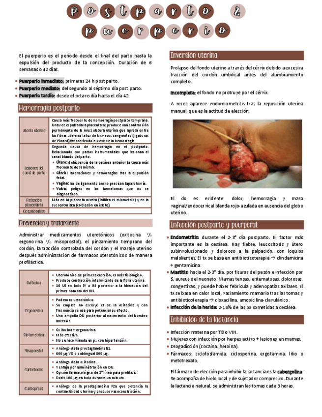 Miniatura del documento Postparto-y-puerperio.pdf