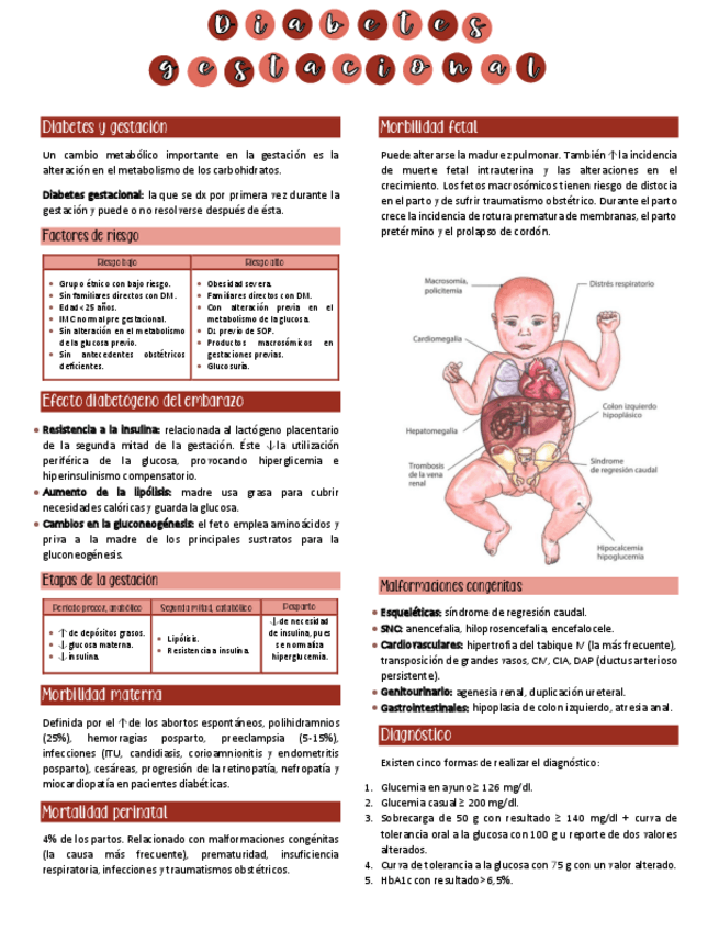 Miniatura del documento Diabetes-gestacional.pdf