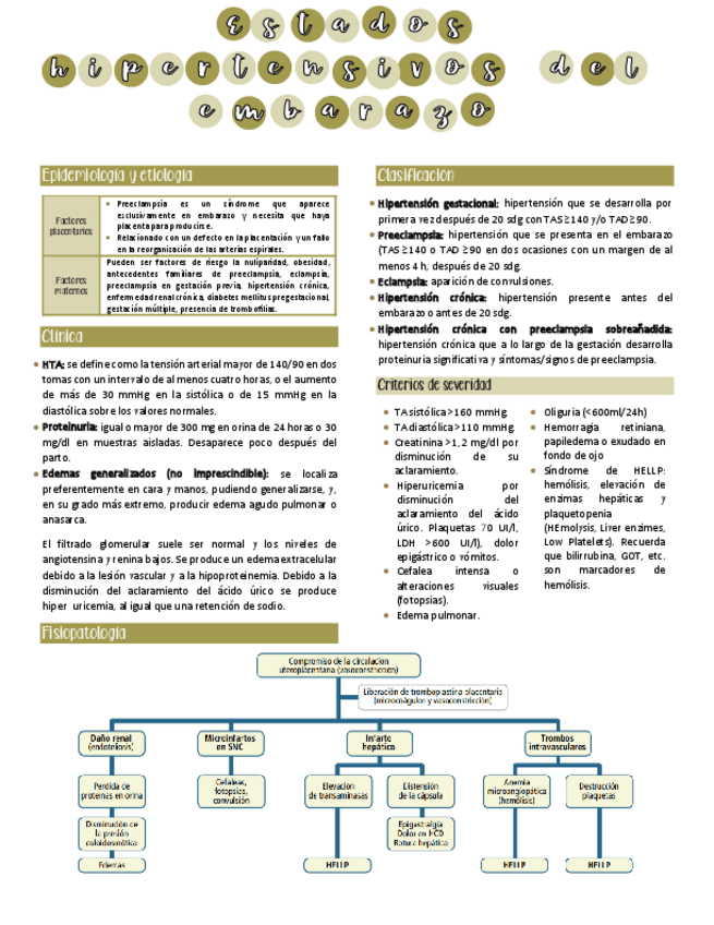 Miniatura del documento Estados-hipertensivos-del-embarazo.pdf
