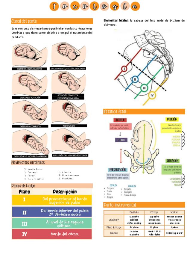 Miniatura del documento Tocologia.pdf