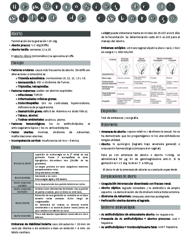 Miniatura del documento Hemorragias-de-la-1-mitad-del-embarazo.pdf