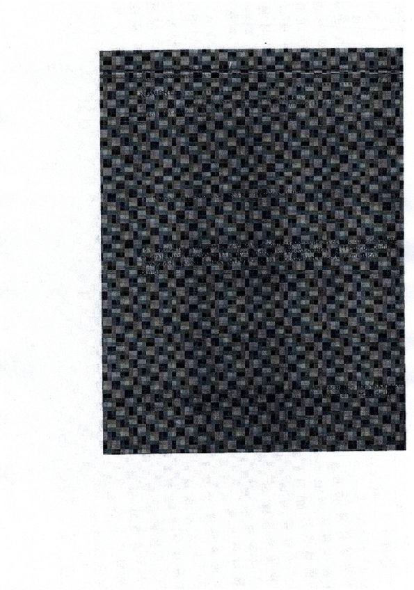 Miniatura del documento ex4.pdf