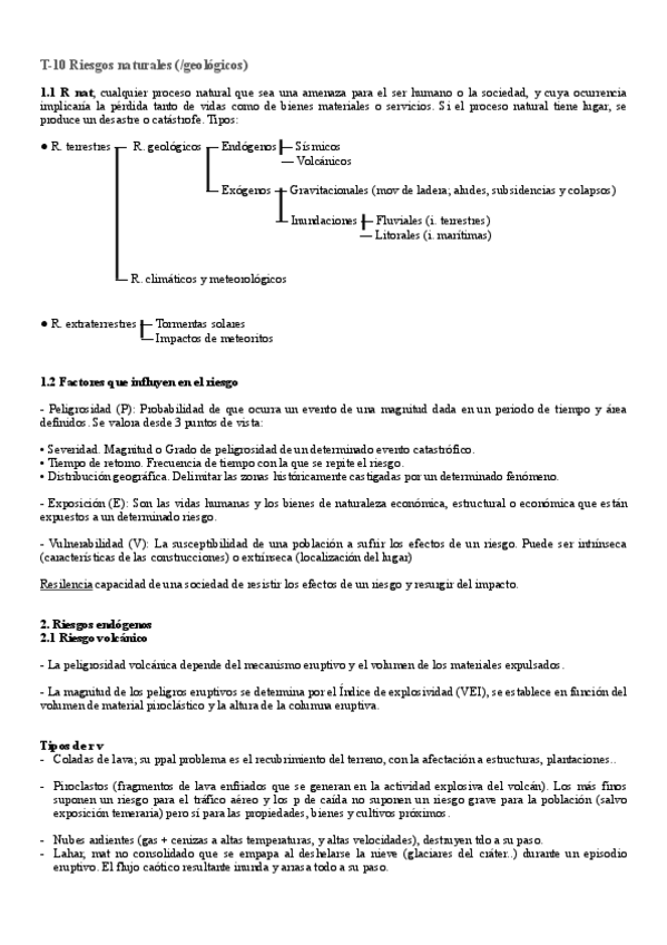 Miniatura del documento T10-Riesgos-naturales.pdf